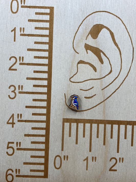 Blue Jay Stud