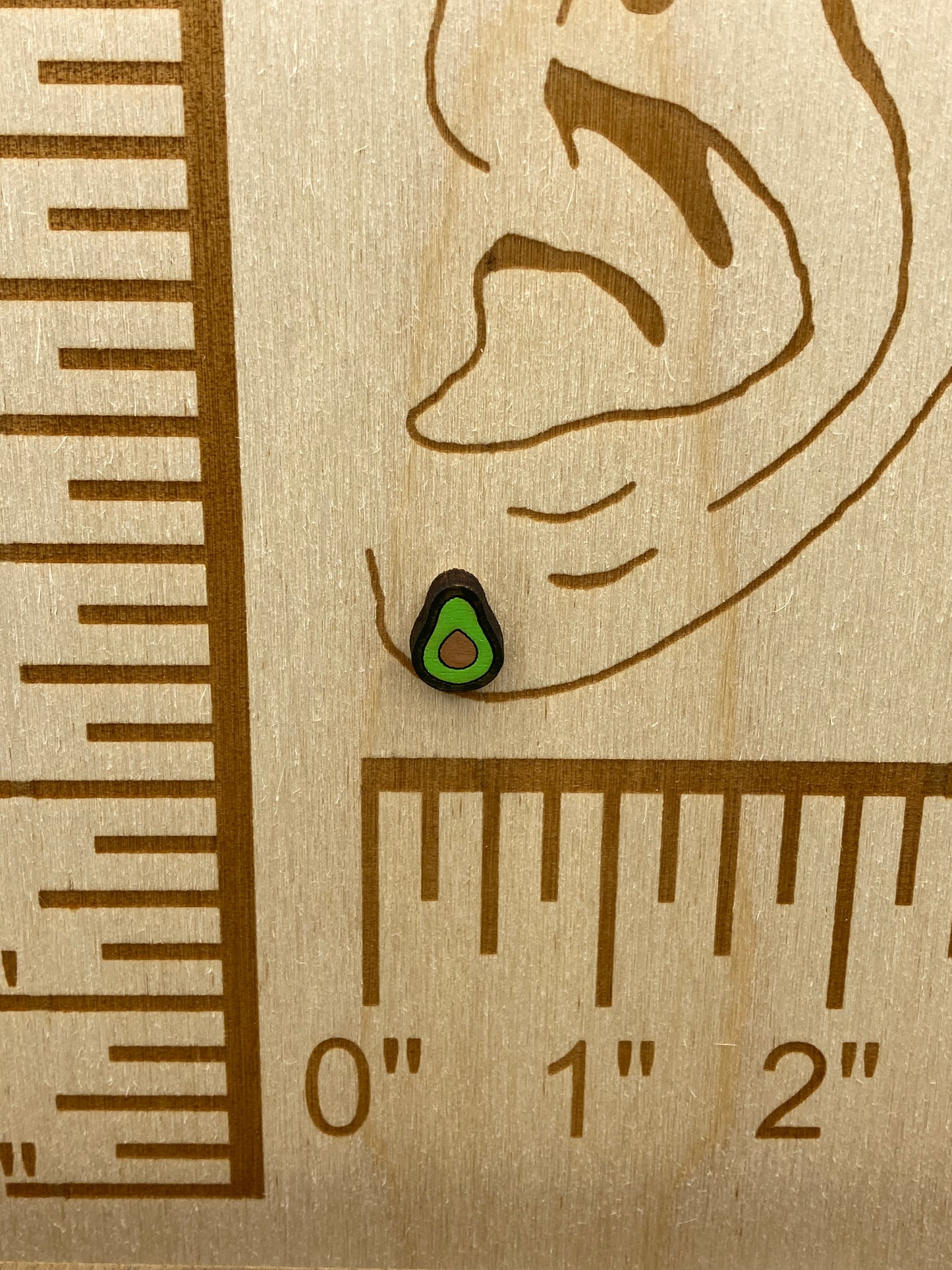 Avocado Stud