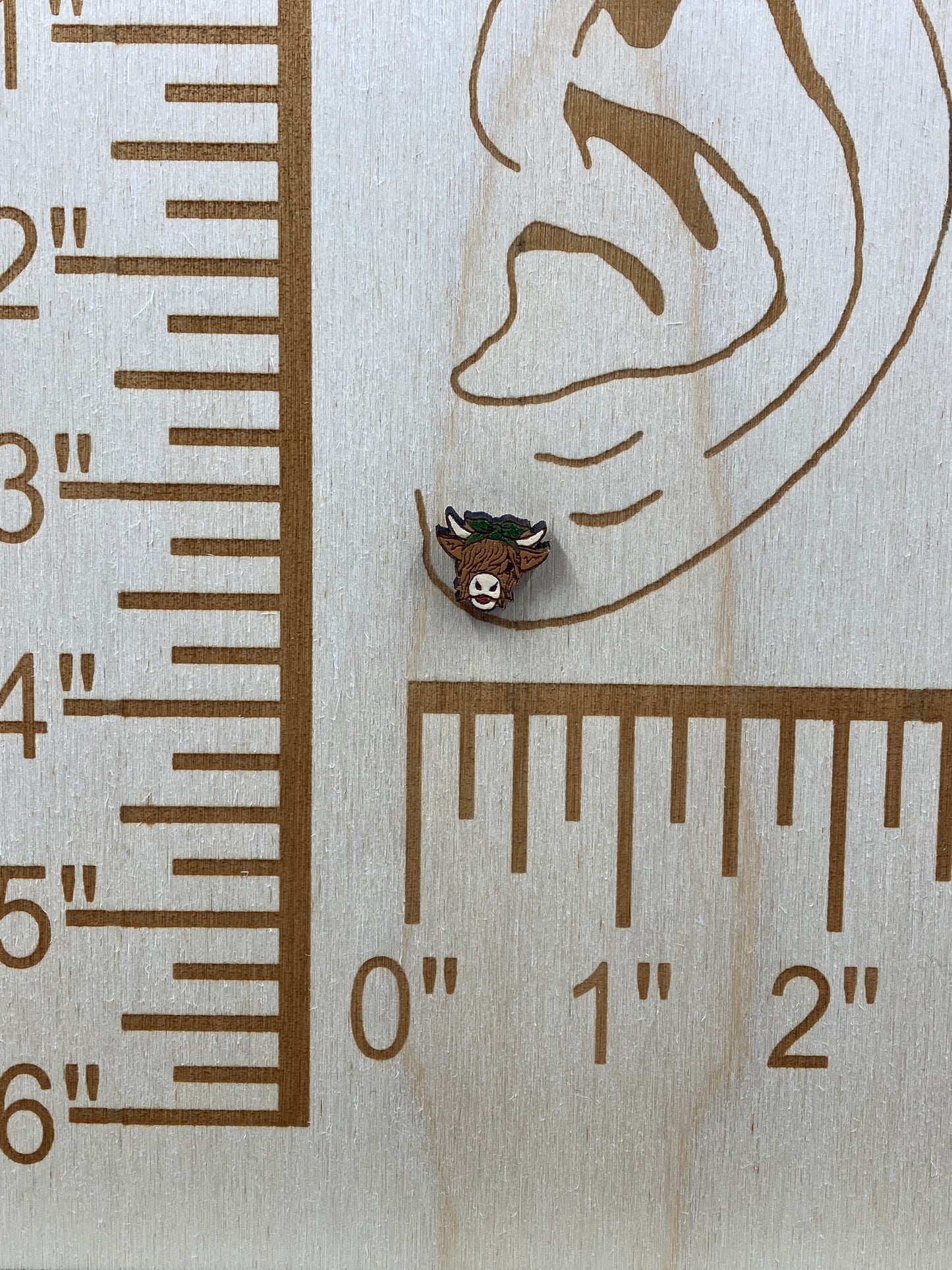 Bandana Hyland Cow Stud