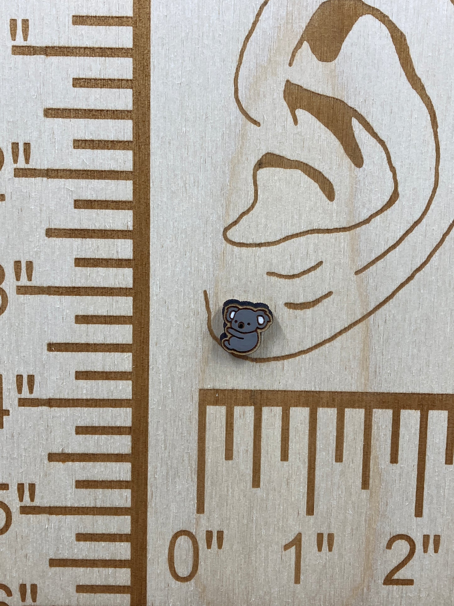 Koala Bear Stud