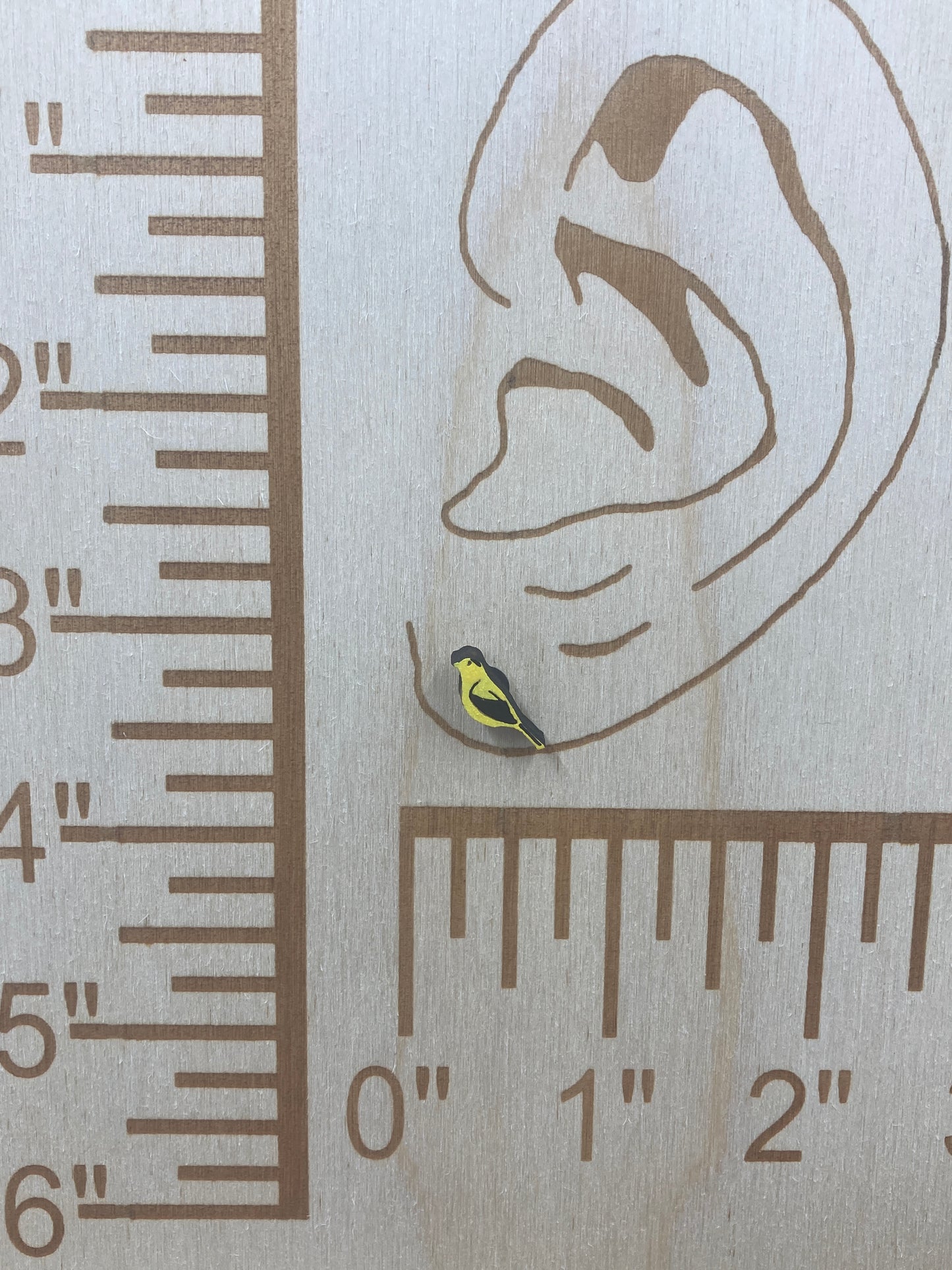 Finch Stud